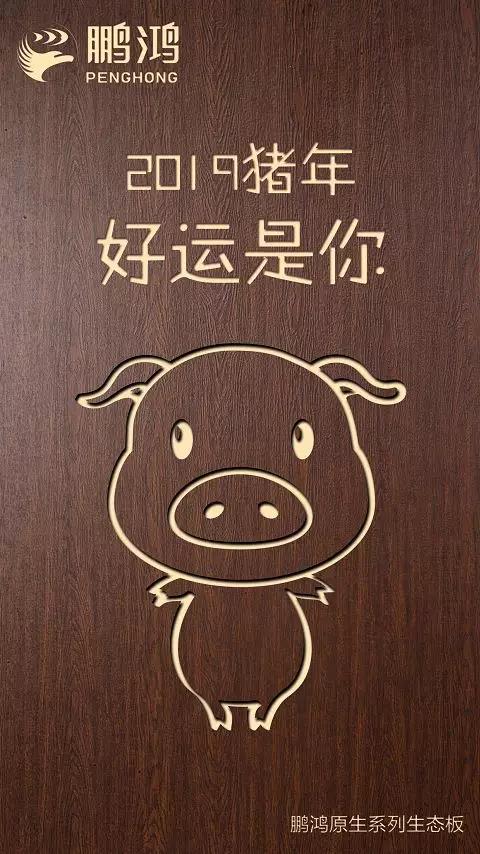 1-1Z124095146149 东升国际原生系列生态板
