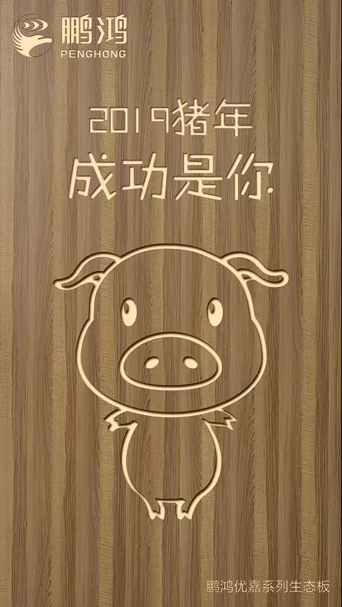 1-1Z124095200336 东升国际优嘉系列生态板