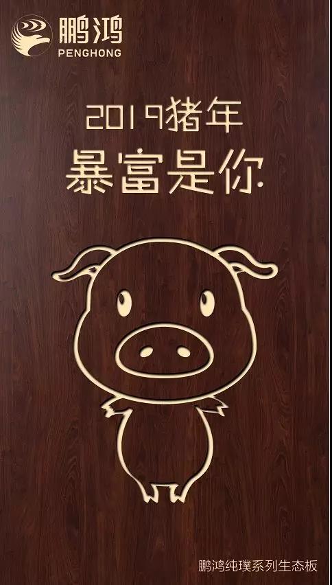 1-1Z1240952455M 东升国际纯璞系列生态板