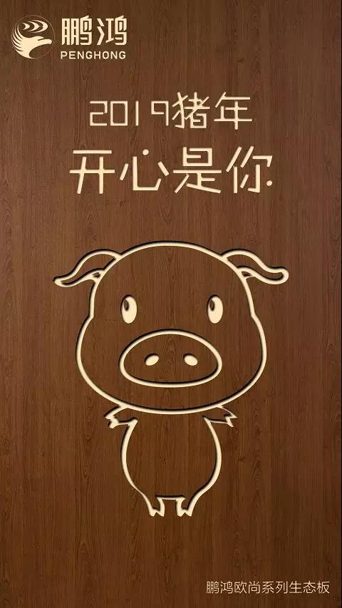 1-1Z1240953155M 东升国际欧尚系列生态板
