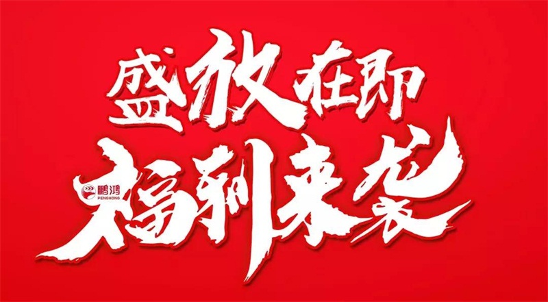 再拓疆域！东升国际We+定制&红星美凯龙联袂亮相乌鲁木齐