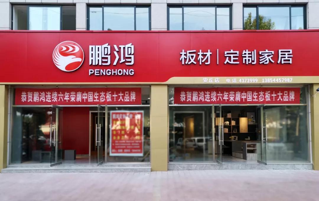 东升国际定制家居山东潍坊安丘店