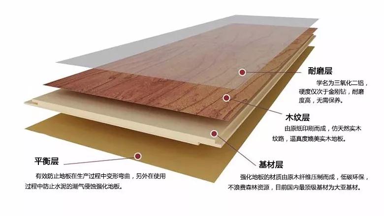 东升国际强化地板刨面图