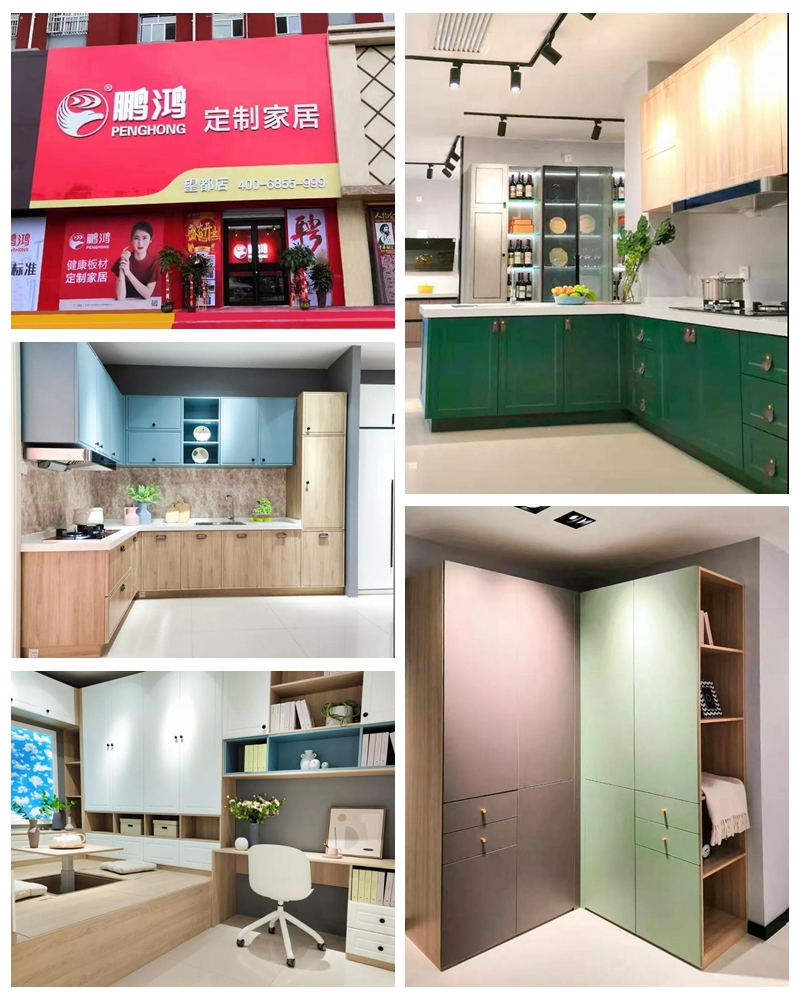 东升国际定制家居望都店