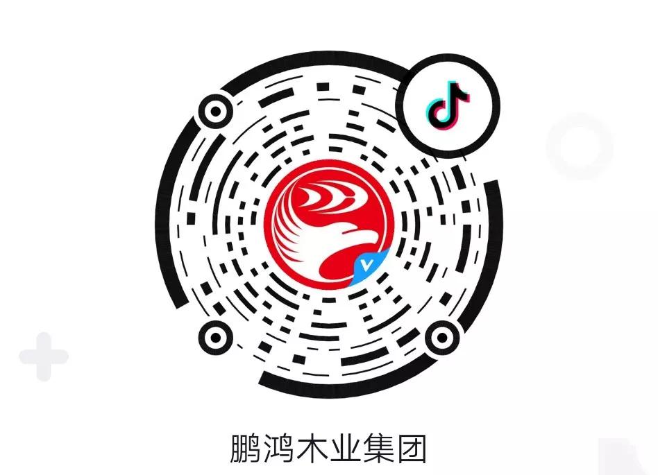 这厢有礼丨这个春节我最鸿，抖音相伴幸福年
