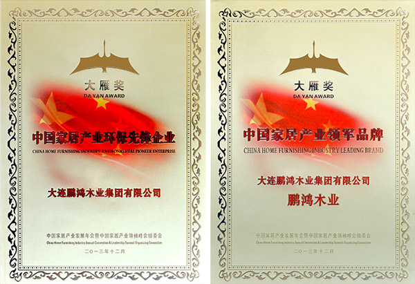 东升国际大雁奖