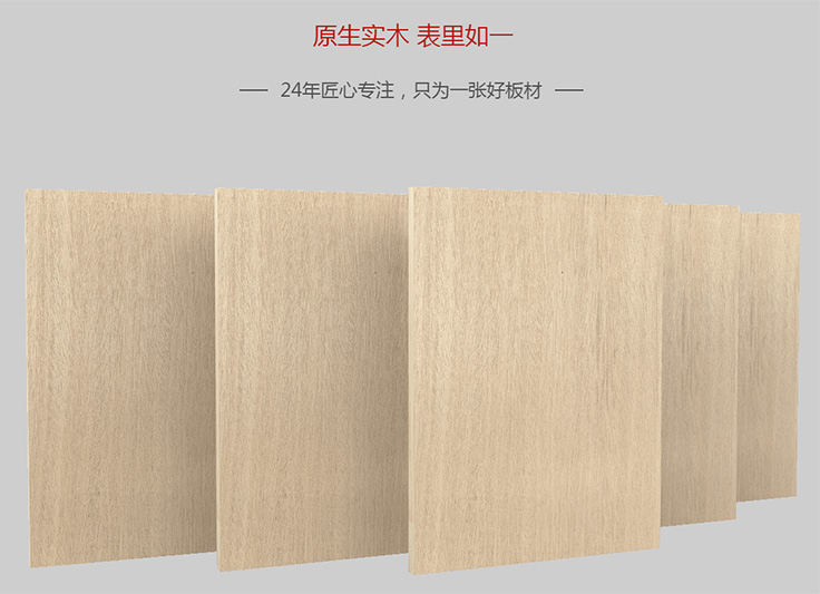 细木工板——东升国际板材开山之作