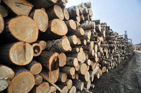 生态板原材料 生态板原材料