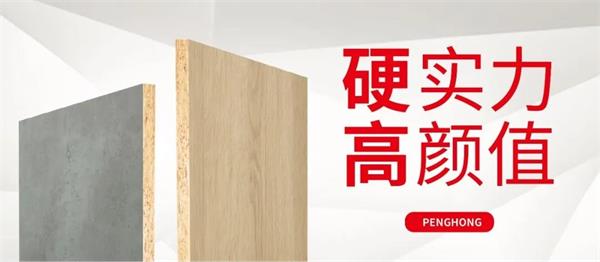 解锁东升国际实木颗粒板独当一“面”的底气