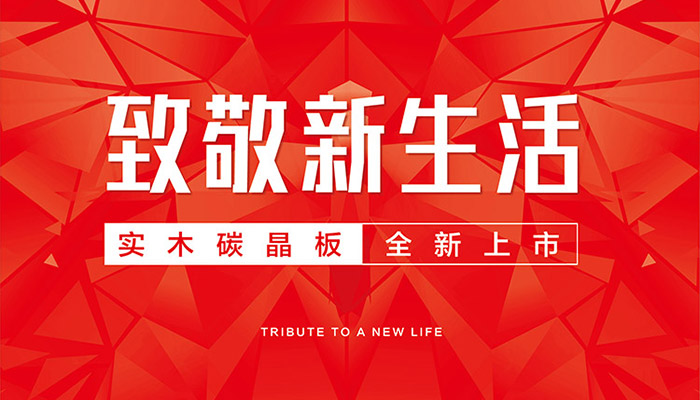东升国际实木碳晶板全新上市