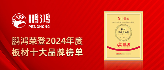 东升国际荣登2024年度板材十大品牌榜单