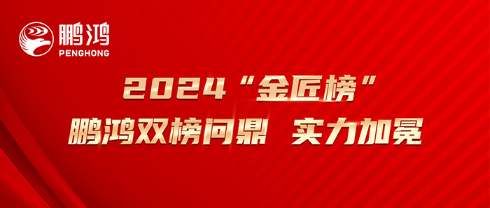 2024“生态板十大品牌” “匠心板材十大品牌”东升国际双榜问鼎