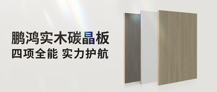 四项全能碳晶板，解锁家装超能力