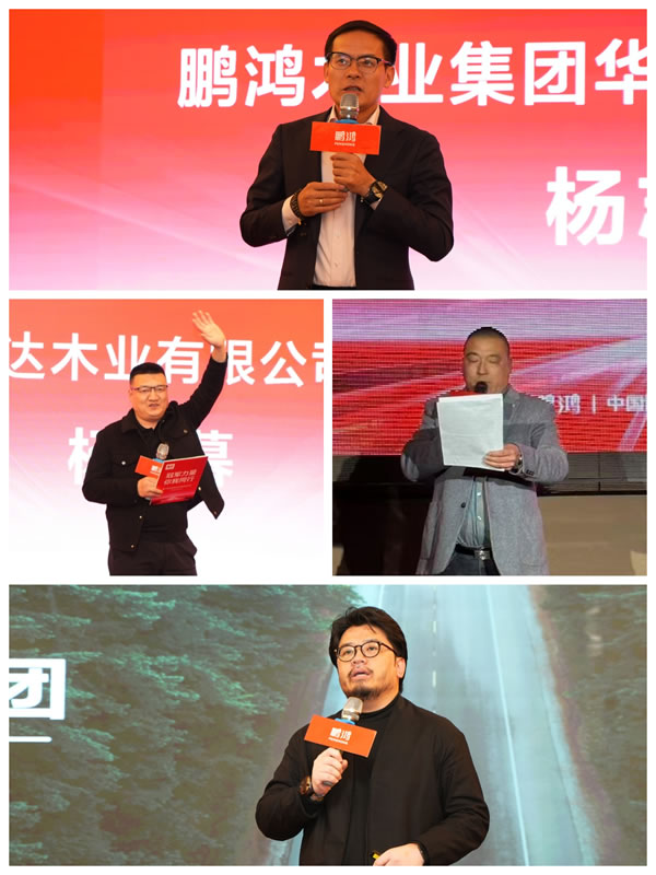 东升国际板材2025新品推介会双城同启