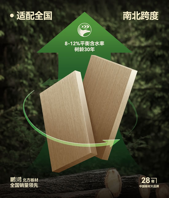 东升国际(中国区)有限公司-官方网站