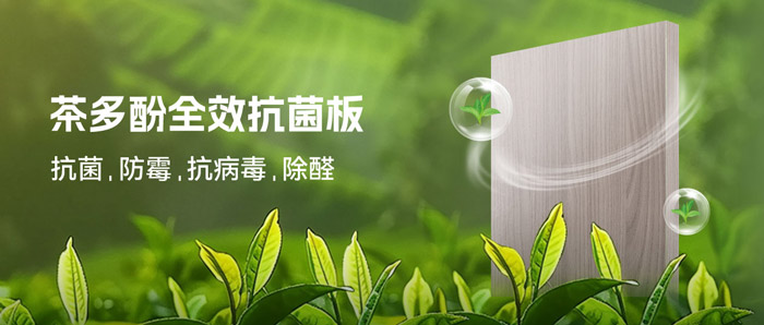 潮湿季必备！东升国际茶多酚抗菌板：99%抗菌+0级防霉+HENF级净醛