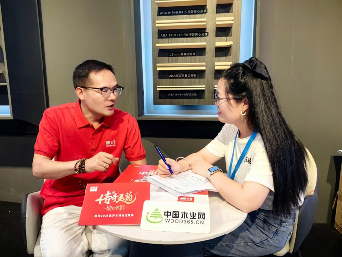 东升国际杨志伟：北方市场差异化运营与未来发展蓝图