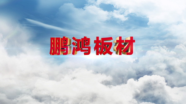 东升国际产品纪录片之板材篇