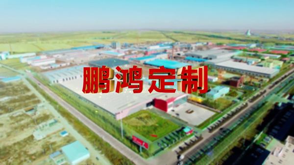 东升国际产品纪录片之定制篇