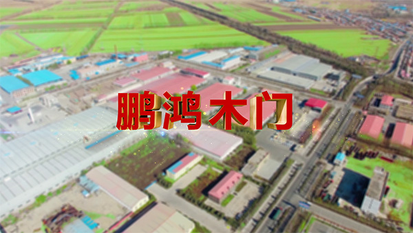 东升国际产品纪录片之木门篇